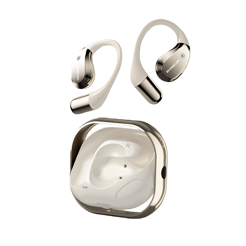 AI Translation Earbuds